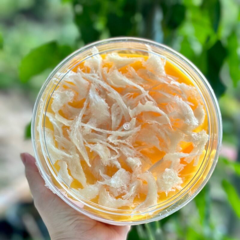Yến Sào Chân Yến Tinh Chế Minest